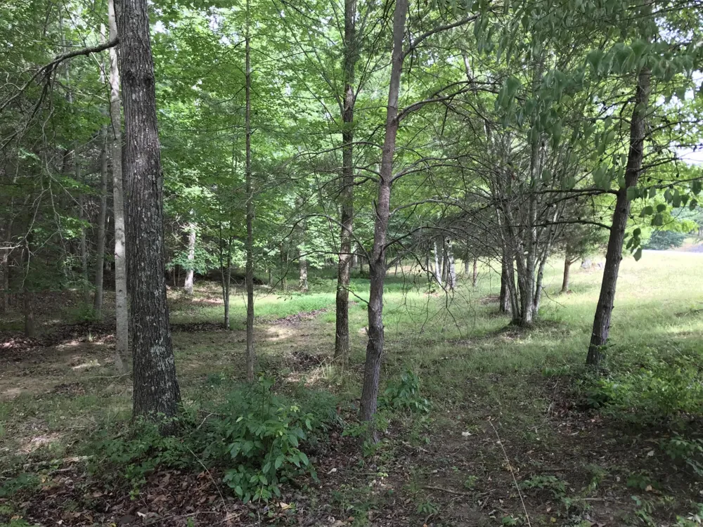 0 Quail Trl Dunlap, TN 37327