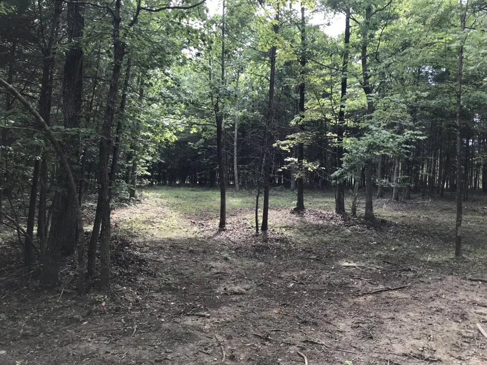 0 Quail Trl Dunlap, TN 37327