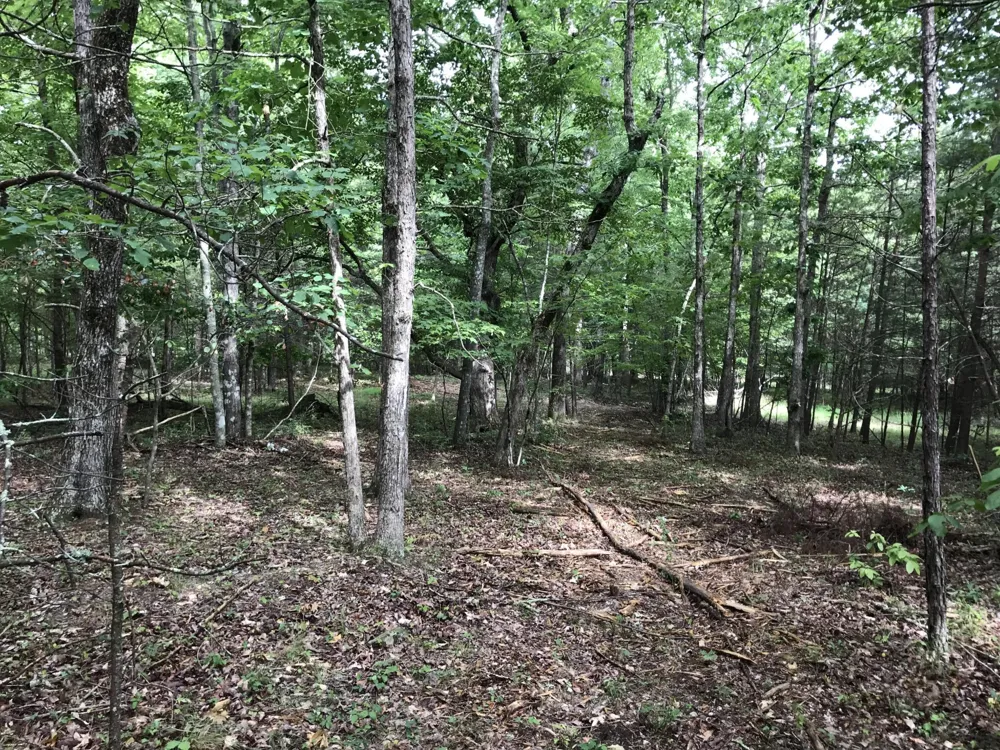 0 Quail Trl Dunlap, TN 37327
