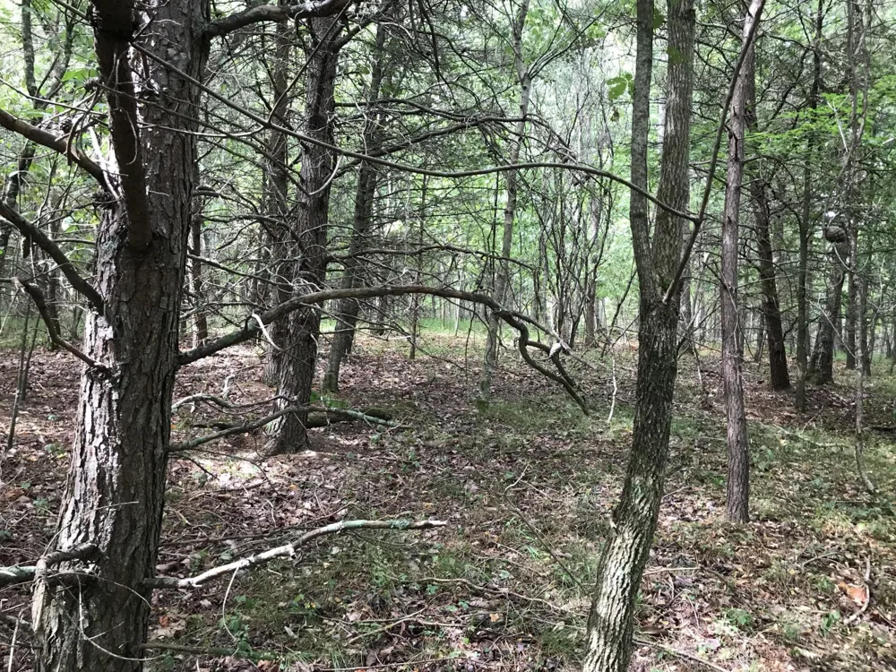 0 Quail Trl Dunlap, TN 37327