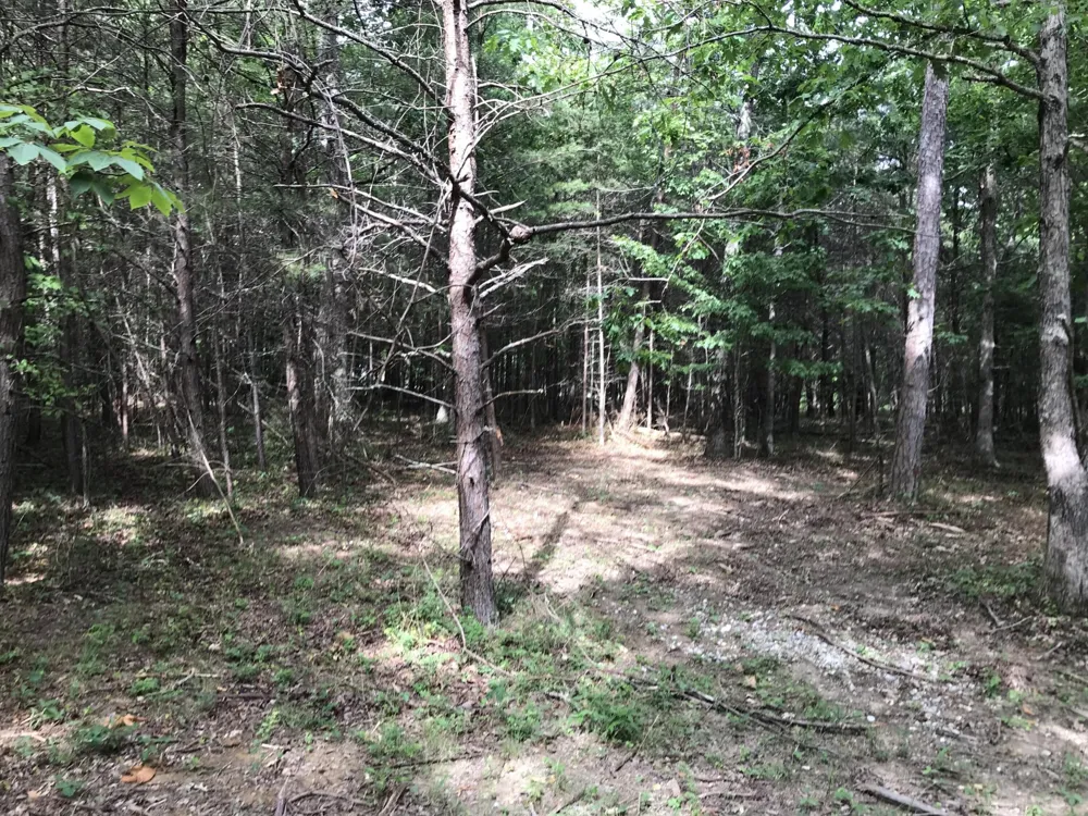 0 Quail Trl Dunlap, TN 37327