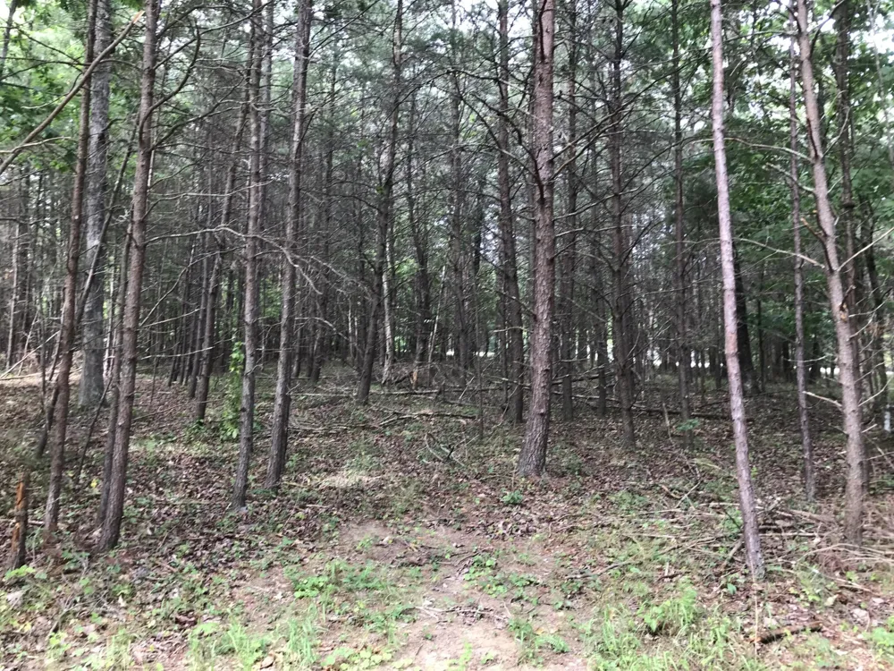 0 Quail Trl Dunlap, TN 37327