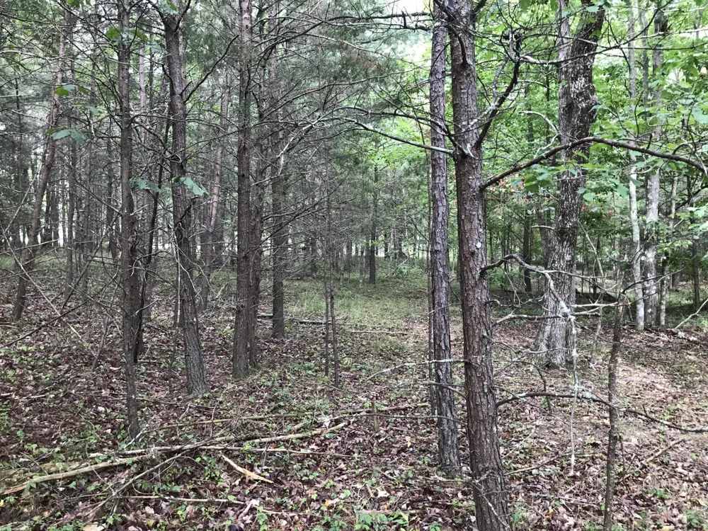 0 Quail Trl Dunlap, TN 37327