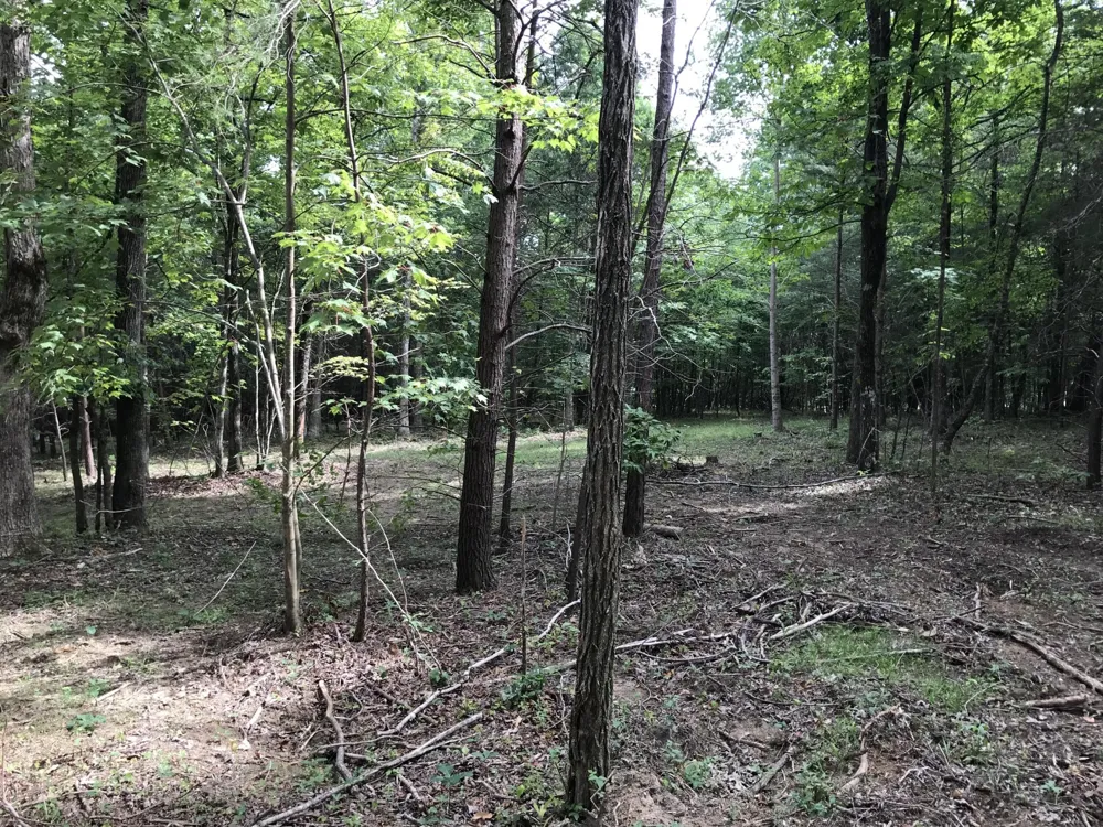 0 Quail Trl Dunlap, TN 37327