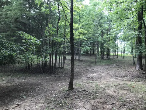 0 Quail Trl