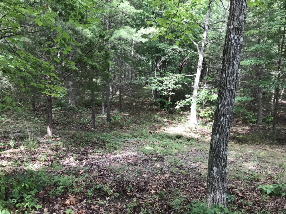 0 Quail Trl Dunlap, TN 37327