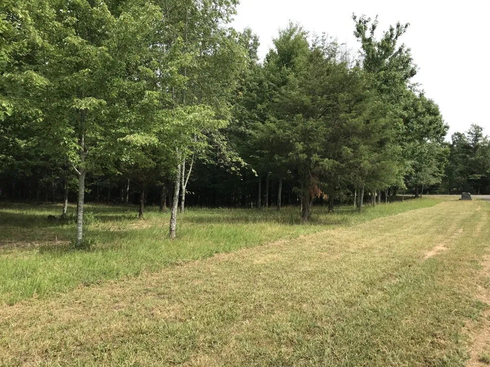 0 Quail Trl Dunlap, TN 37327