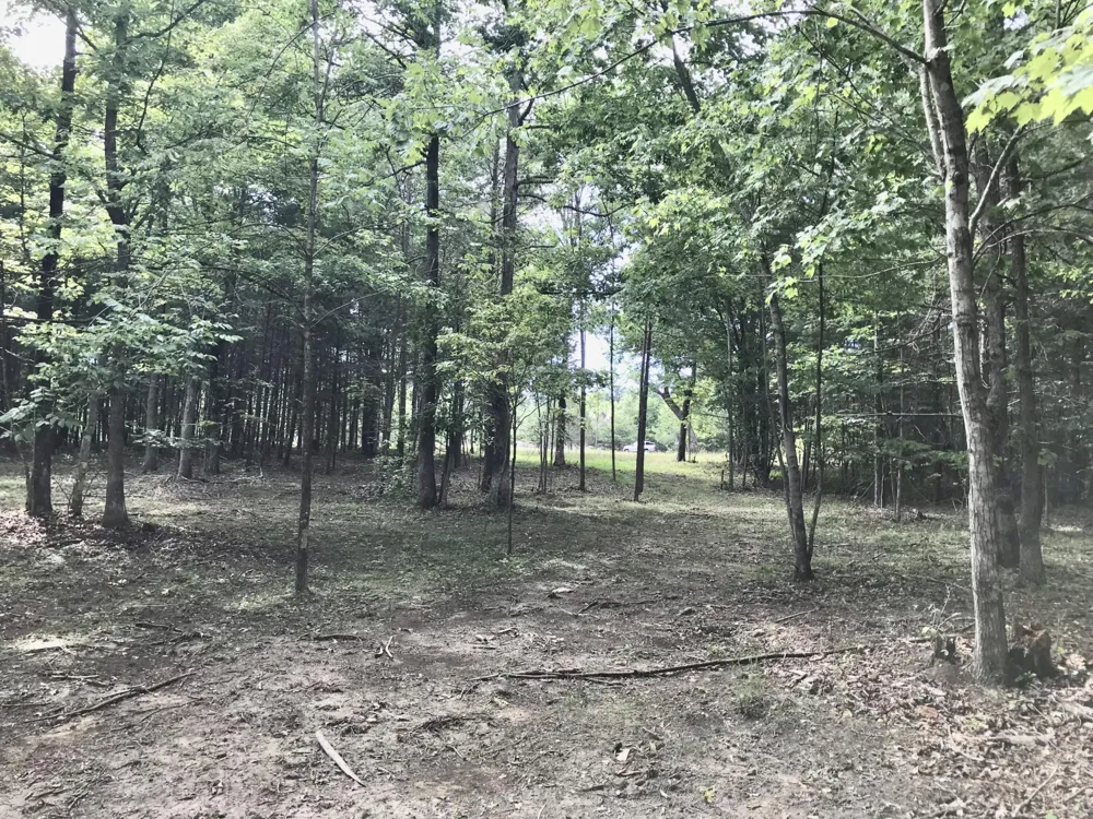 0 Quail Trl Dunlap, TN 37327