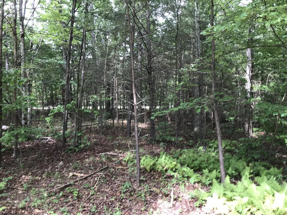 0 Quail Trl Dunlap, TN 37327