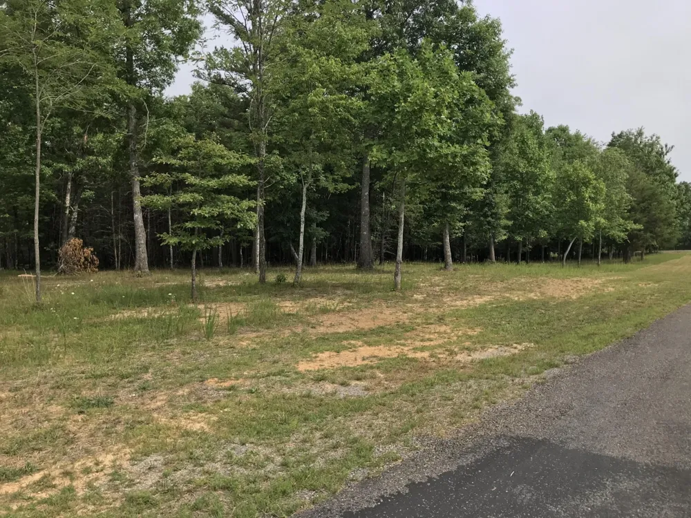 0 Quail Trl Dunlap, TN 37327