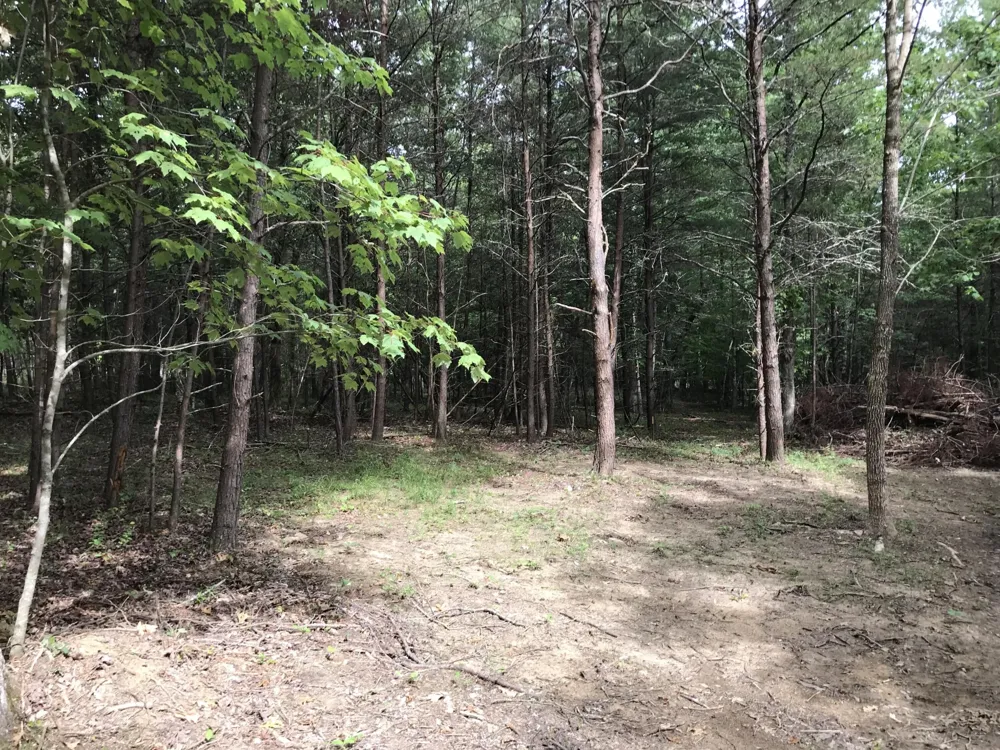 0 Quail Trl Dunlap, TN 37327
