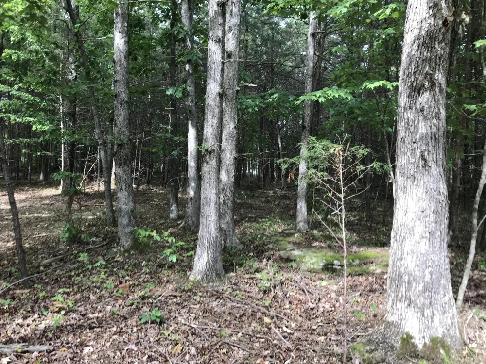 0 Quail Trl Dunlap, TN 37327