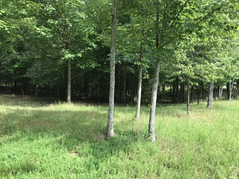 0 Quail Trl Dunlap, TN 37327