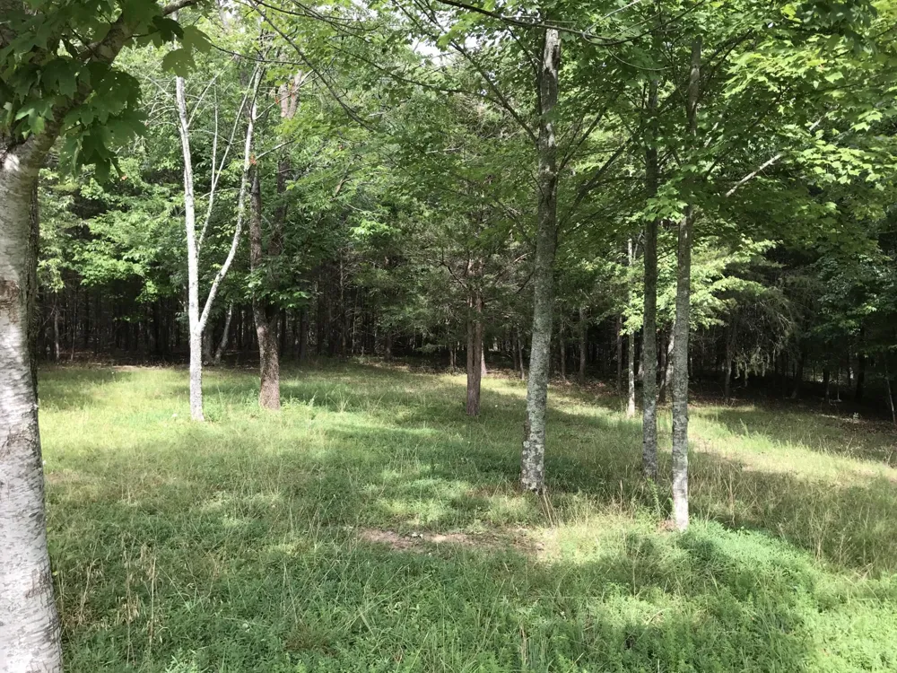 0 Quail Trl Dunlap, TN 37327