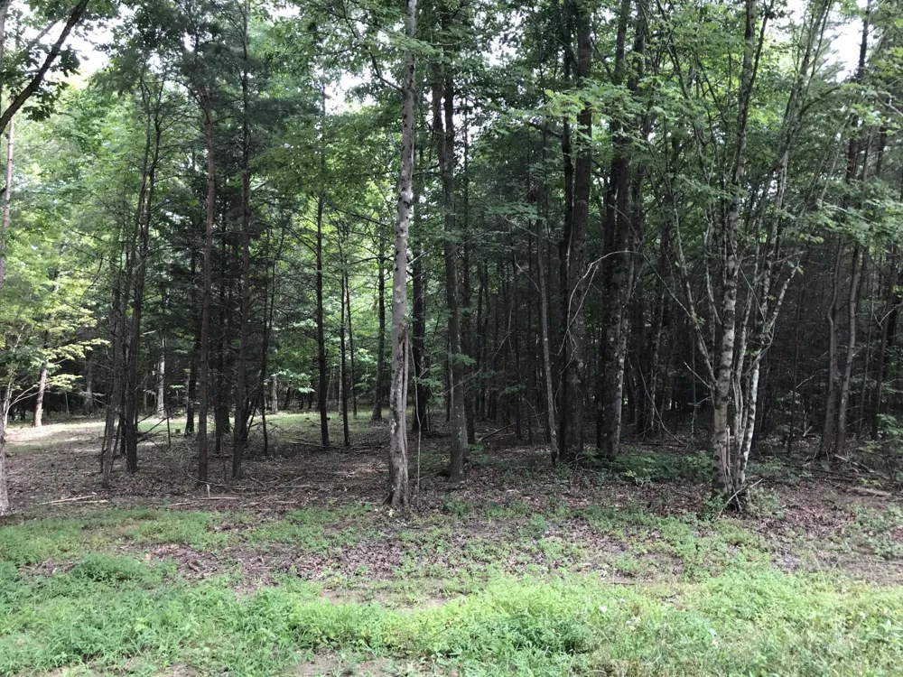 0 Quail Trl Dunlap, TN 37327