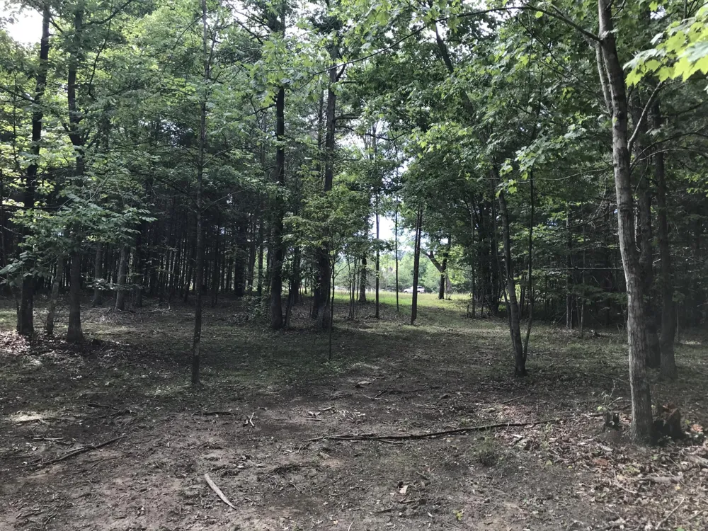 0 Quail Trl Dunlap, TN 37327