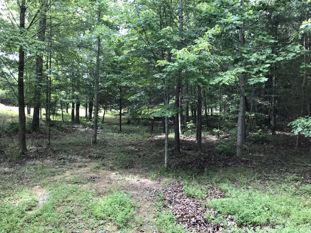 0 Quail Trl Dunlap, TN 37327