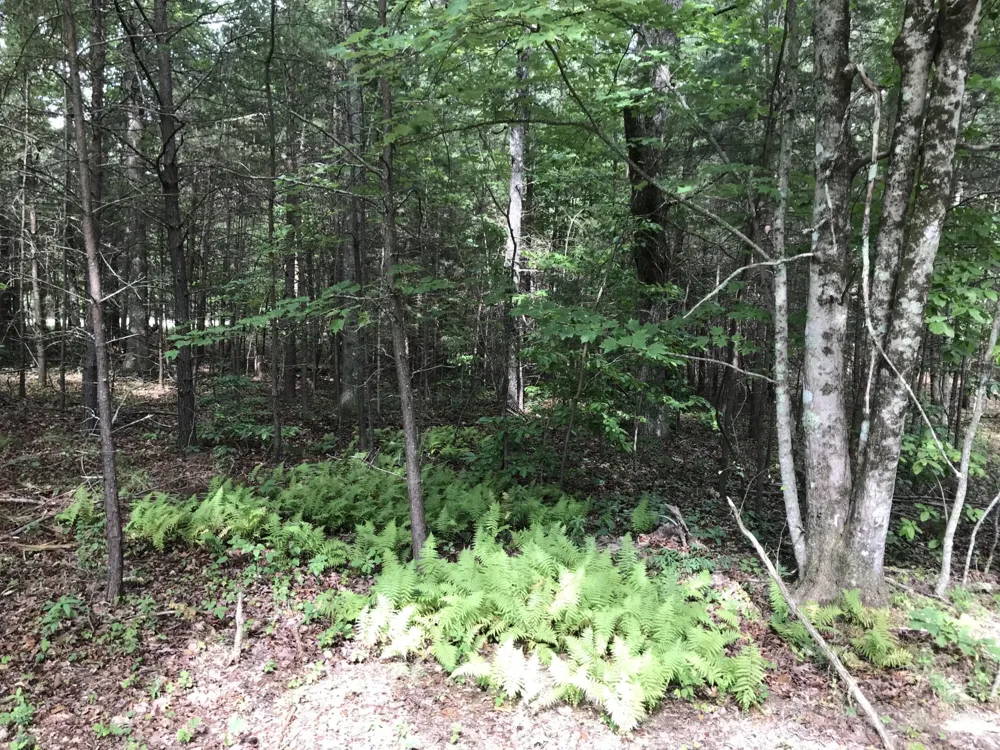 0 Quail Trl Dunlap, TN 37327
