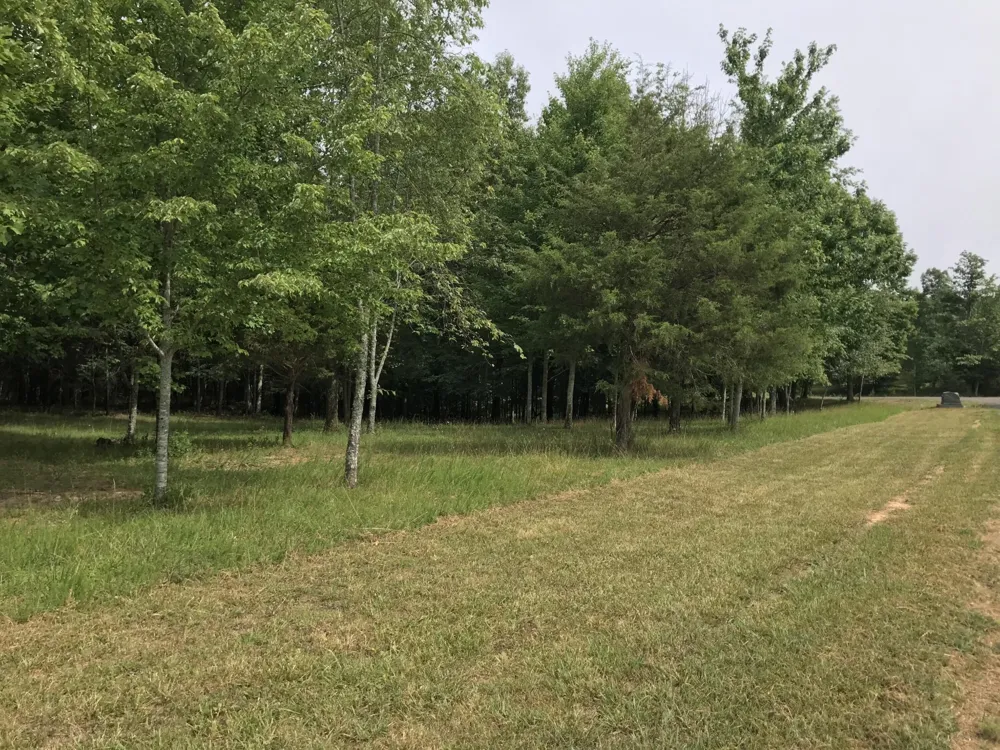 0 Quail Trl Dunlap, TN 37327