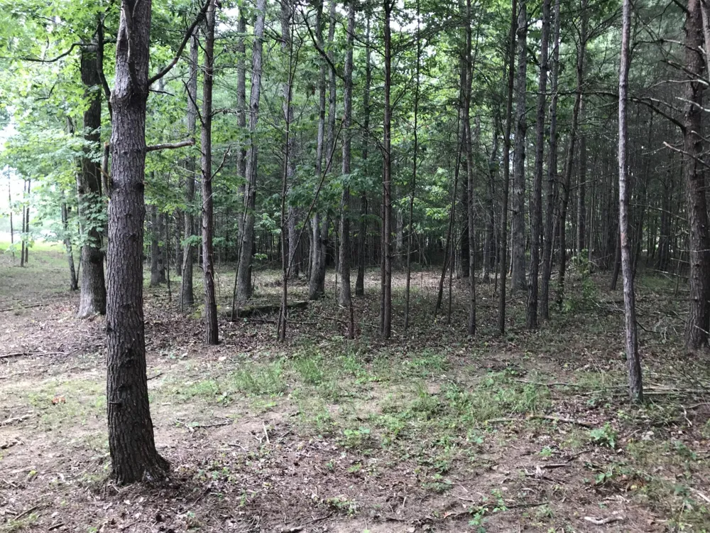 0 Quail Trl Dunlap, TN 37327