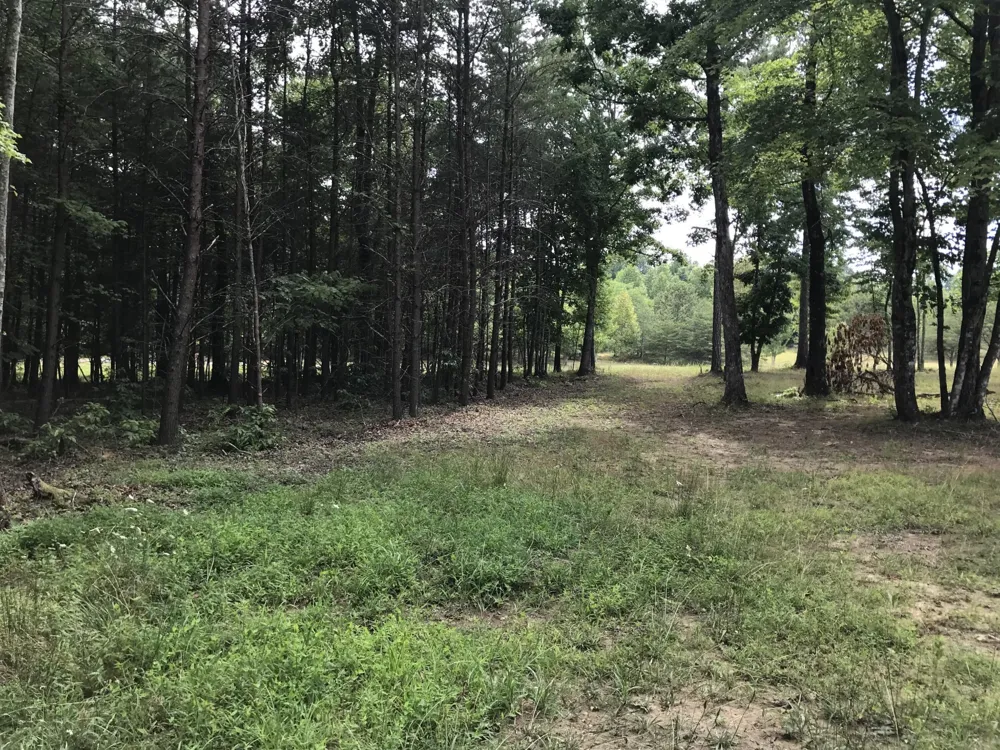 0 Quail Trl Dunlap, TN 37327
