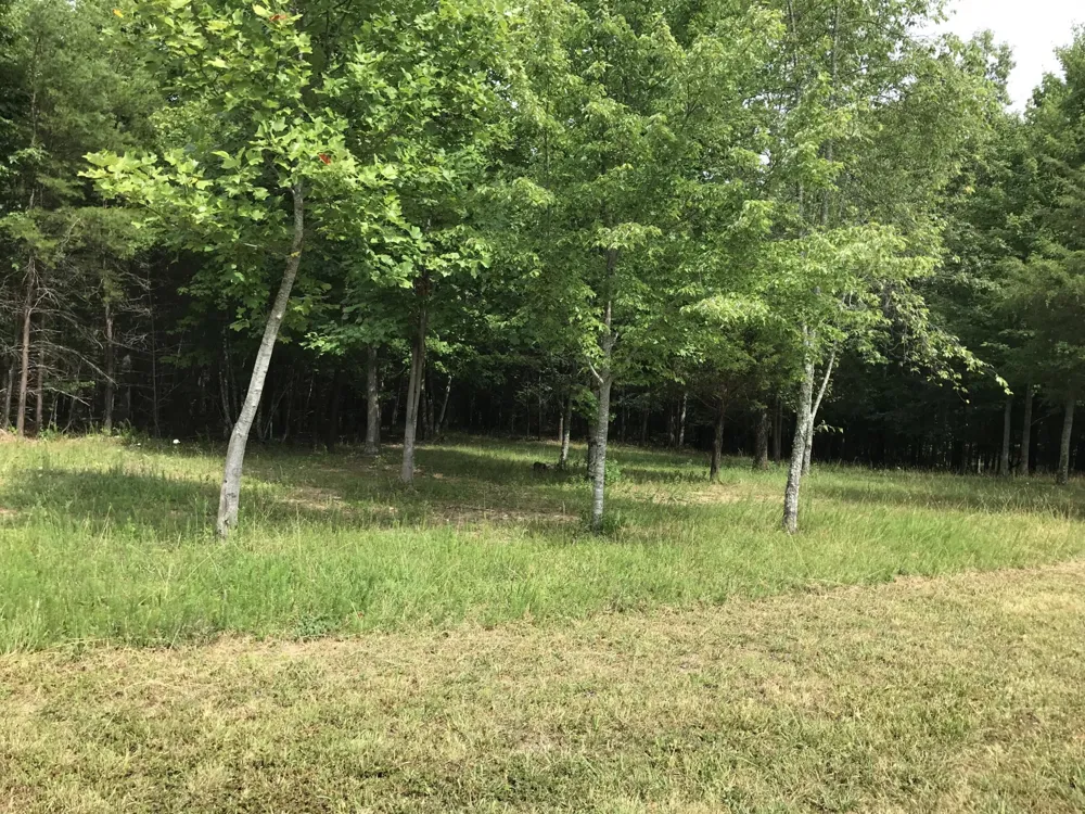 0 Quail Trl Dunlap, TN 37327
