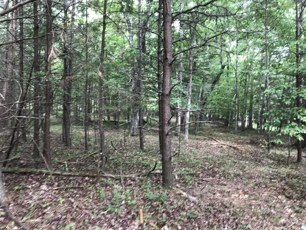 0 Quail Trl Dunlap, TN 37327