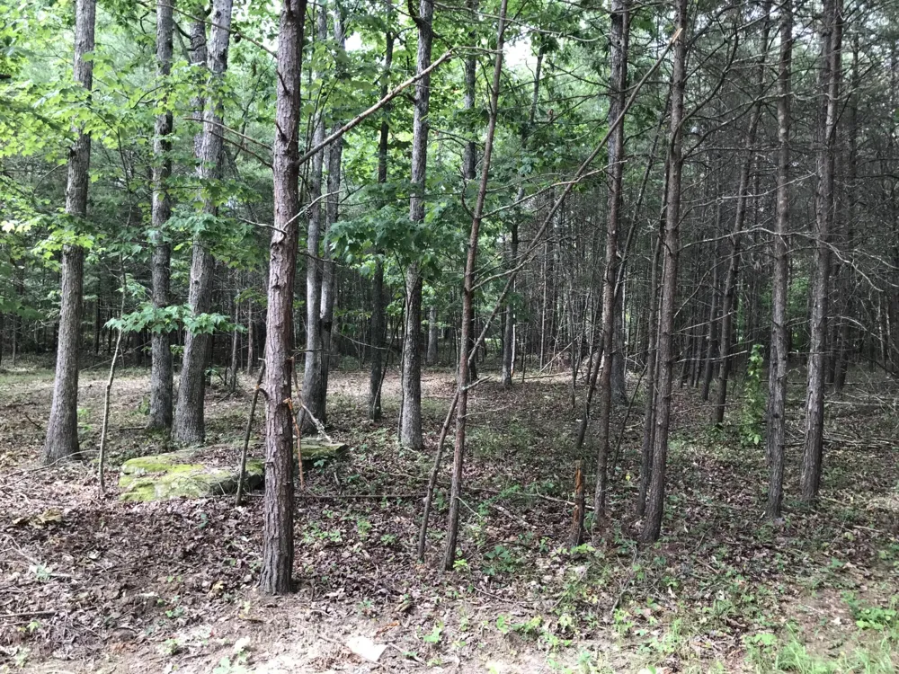 0 Quail Trl Dunlap, TN 37327