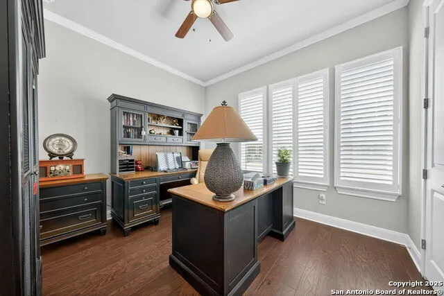 620 Guenther New Braunfels, TX 78130