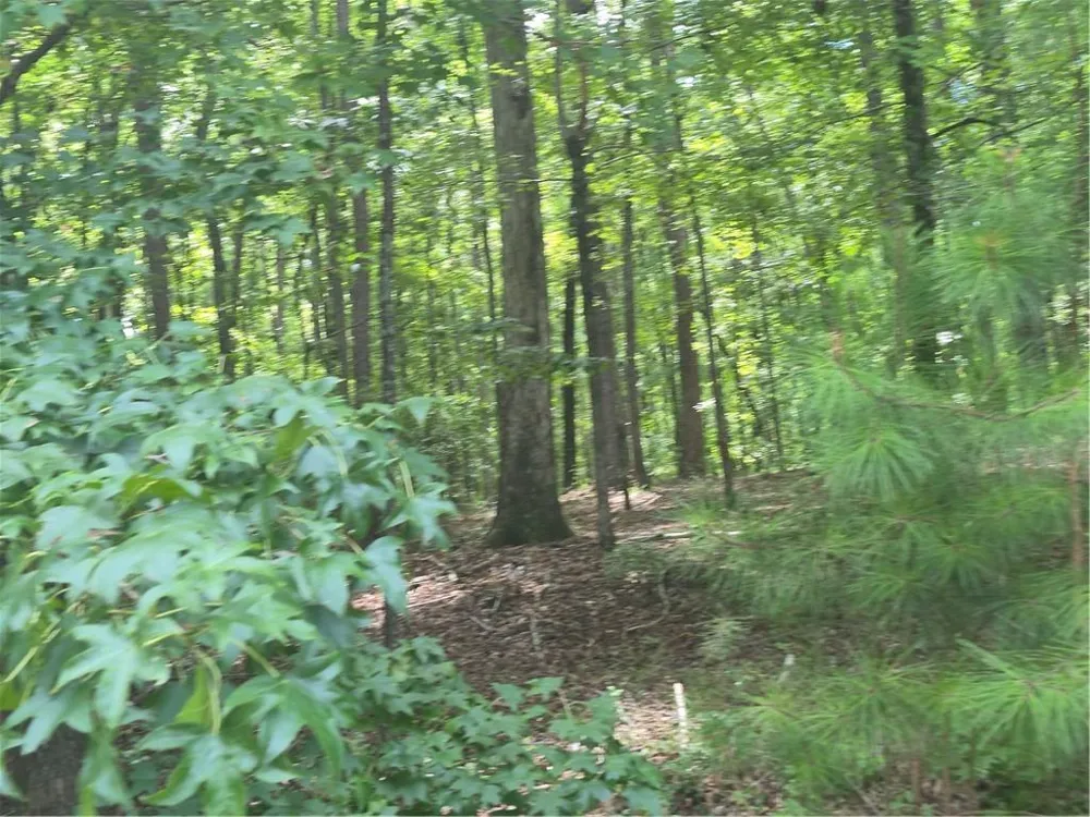 441 S Steel Bridge Road Eatonton, GA 31024