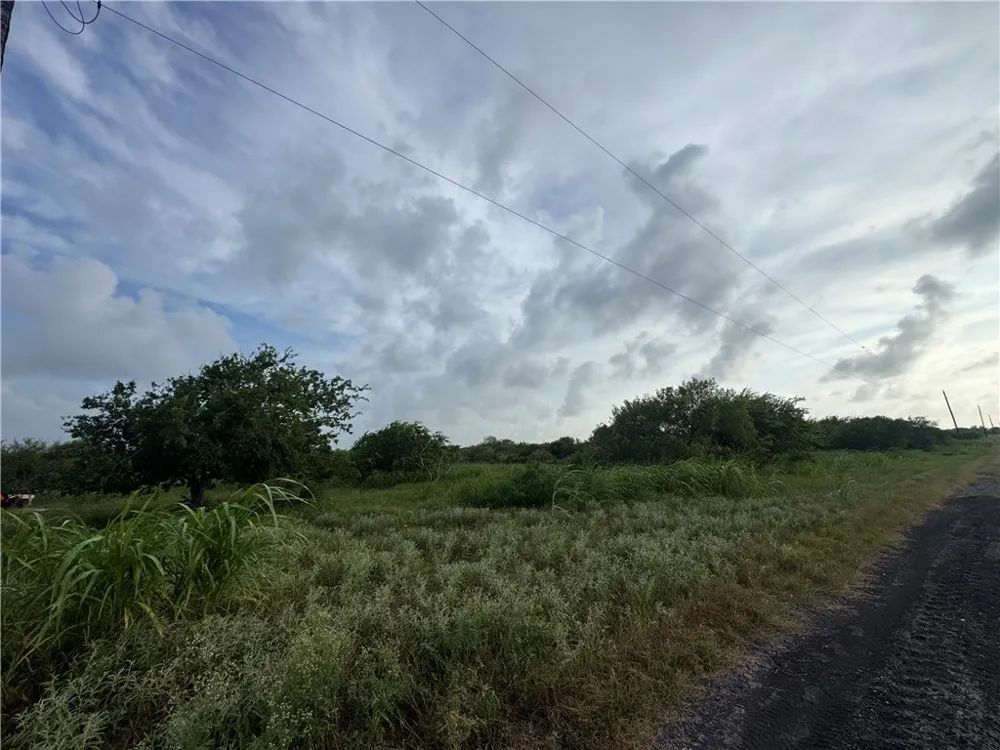 267 Vega Bayside, TX 78393