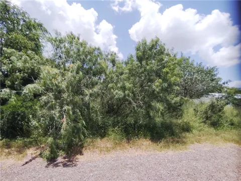 3 Thunderbird Trail