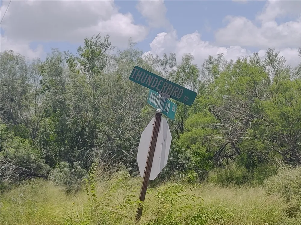 3 Thunderbird Trail Sandia, TX 78383