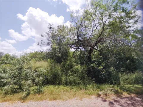 2 Thunderbird Trail