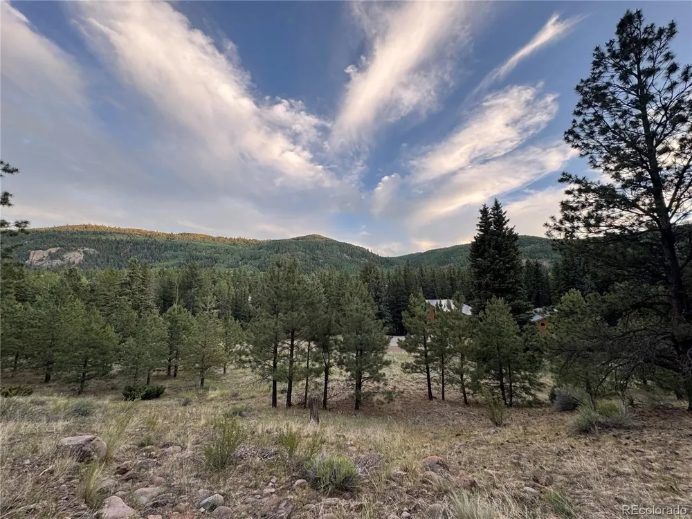 2 Beaver Trail Antonito, CO 81120