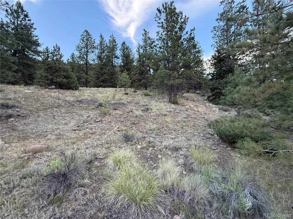 2 Beaver Trail Antonito, CO 81120
