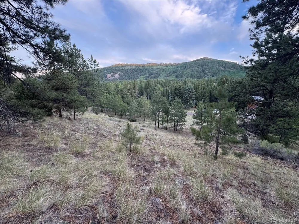 2 Beaver Trail Antonito, CO 81120