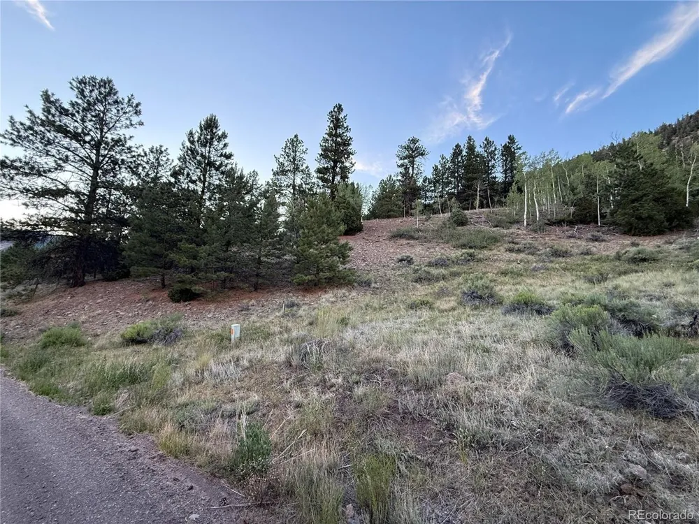 2 Beaver Trail Antonito, CO 81120