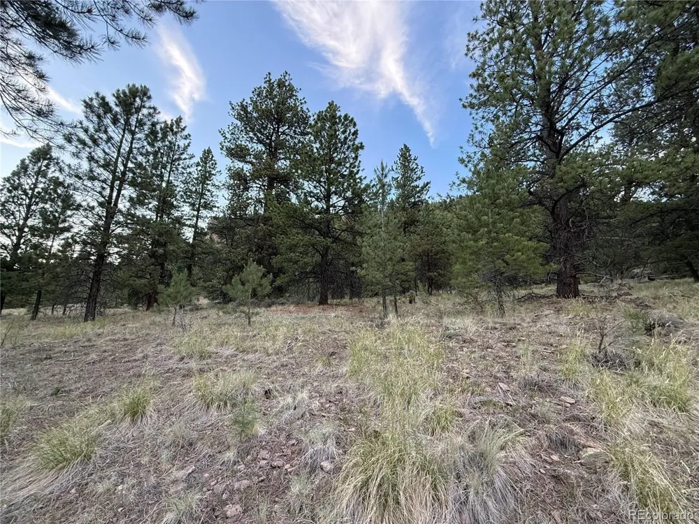 2 Beaver Trail Antonito, CO 81120