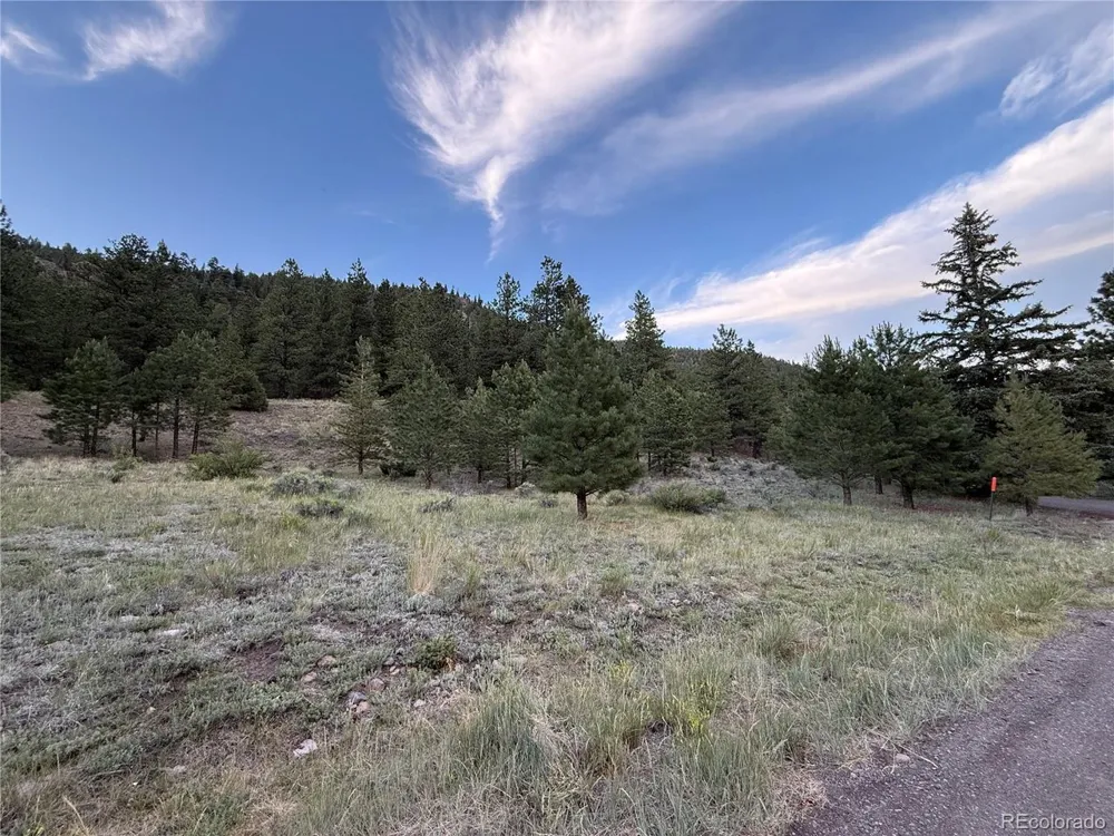 2 Beaver Trail Antonito, CO 81120