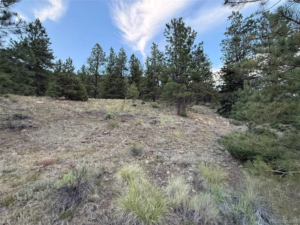 2 Beaver Trail Antonito, CO 81120