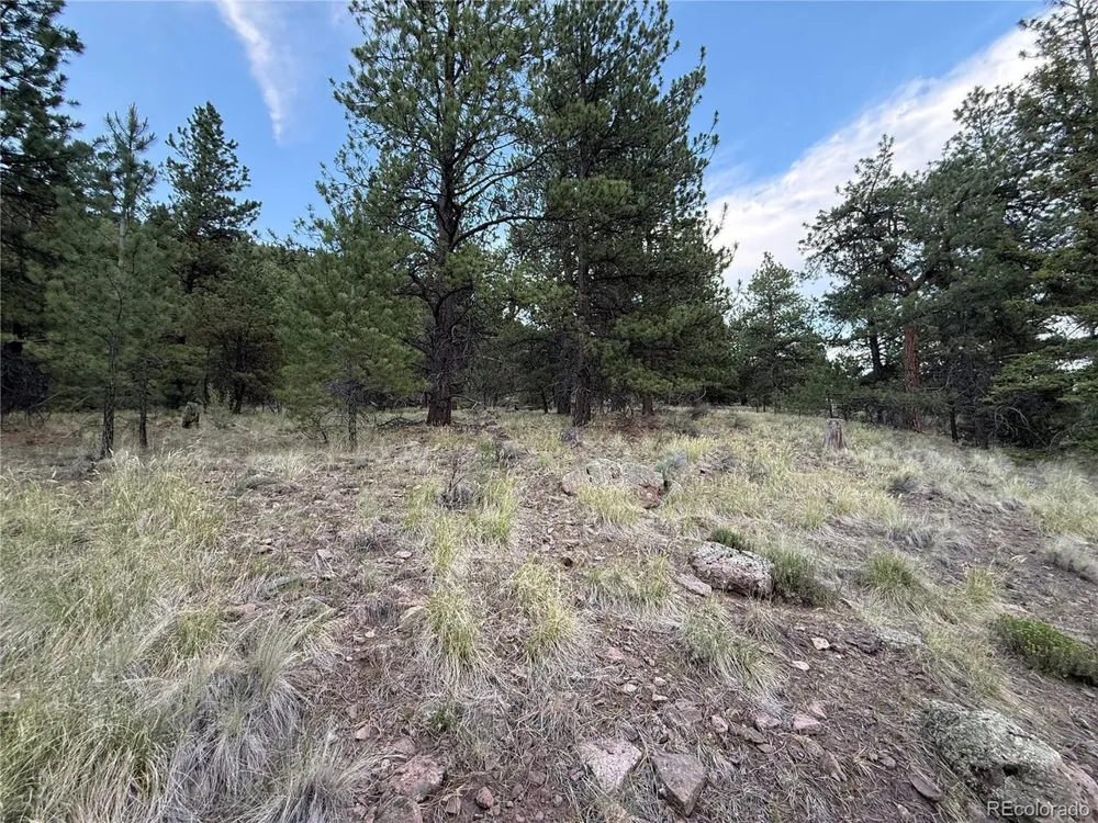 2 Beaver Trail Antonito, CO 81120