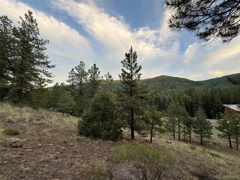 2 Beaver Trail Antonito, CO 81120