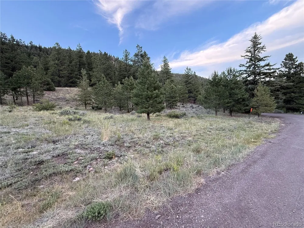 2 Beaver Trail Antonito, CO 81120