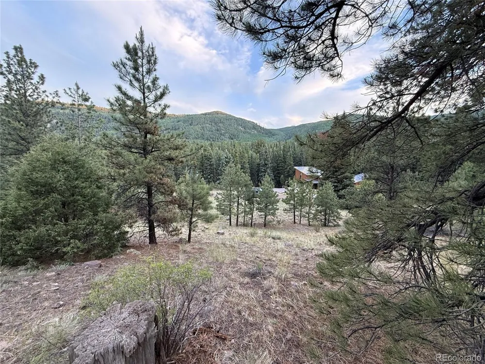 2 Beaver Trail Antonito, CO 81120