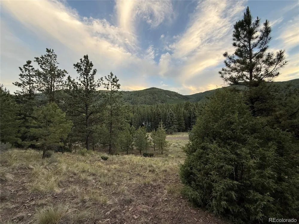 2 Beaver Trail Antonito, CO 81120