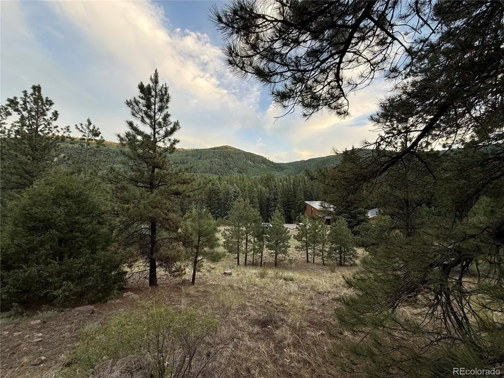 2 Beaver Trail Antonito, CO 81120