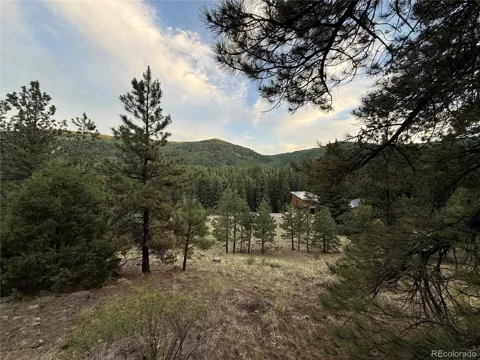 2 Beaver Trail