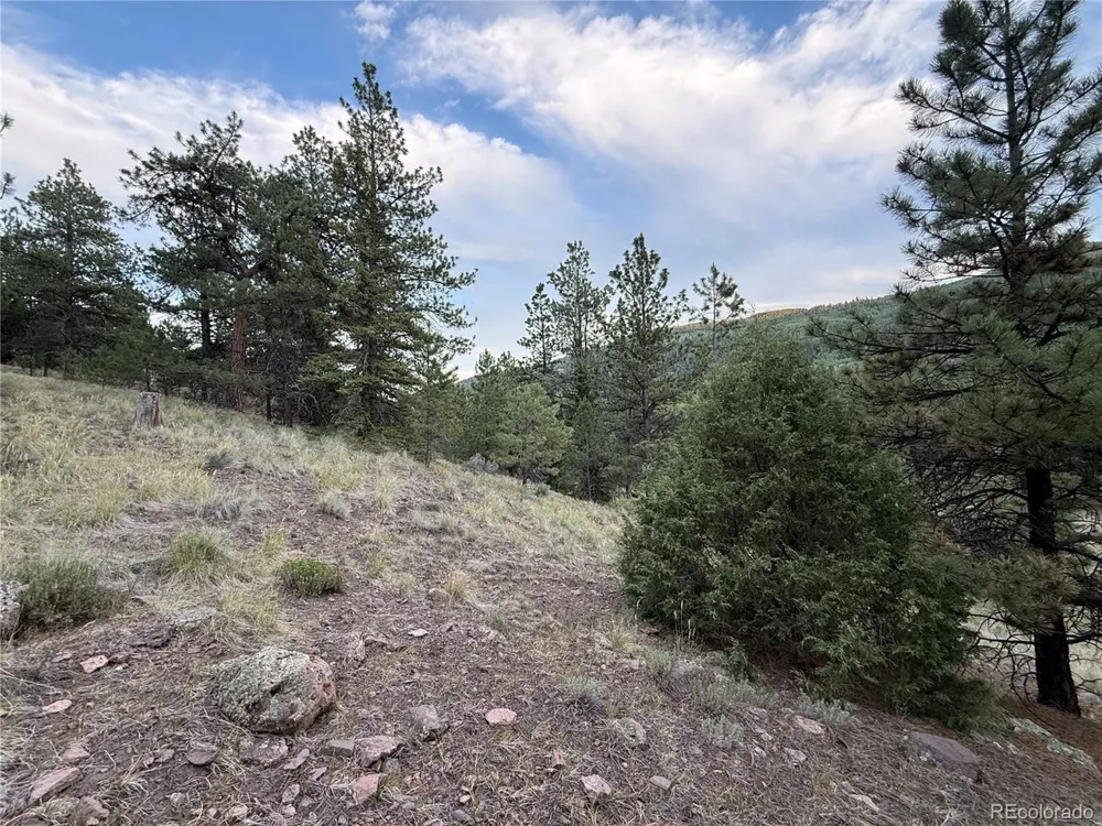 2 Beaver Trail Antonito, CO 81120