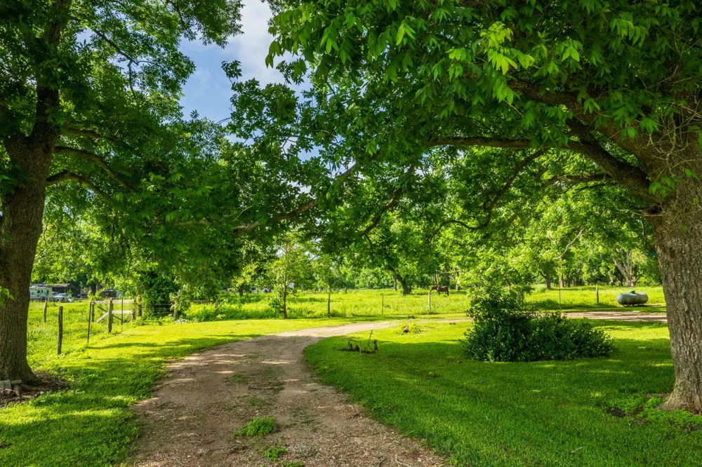 8854 Fm 524 Road Sweeny, TX 77480